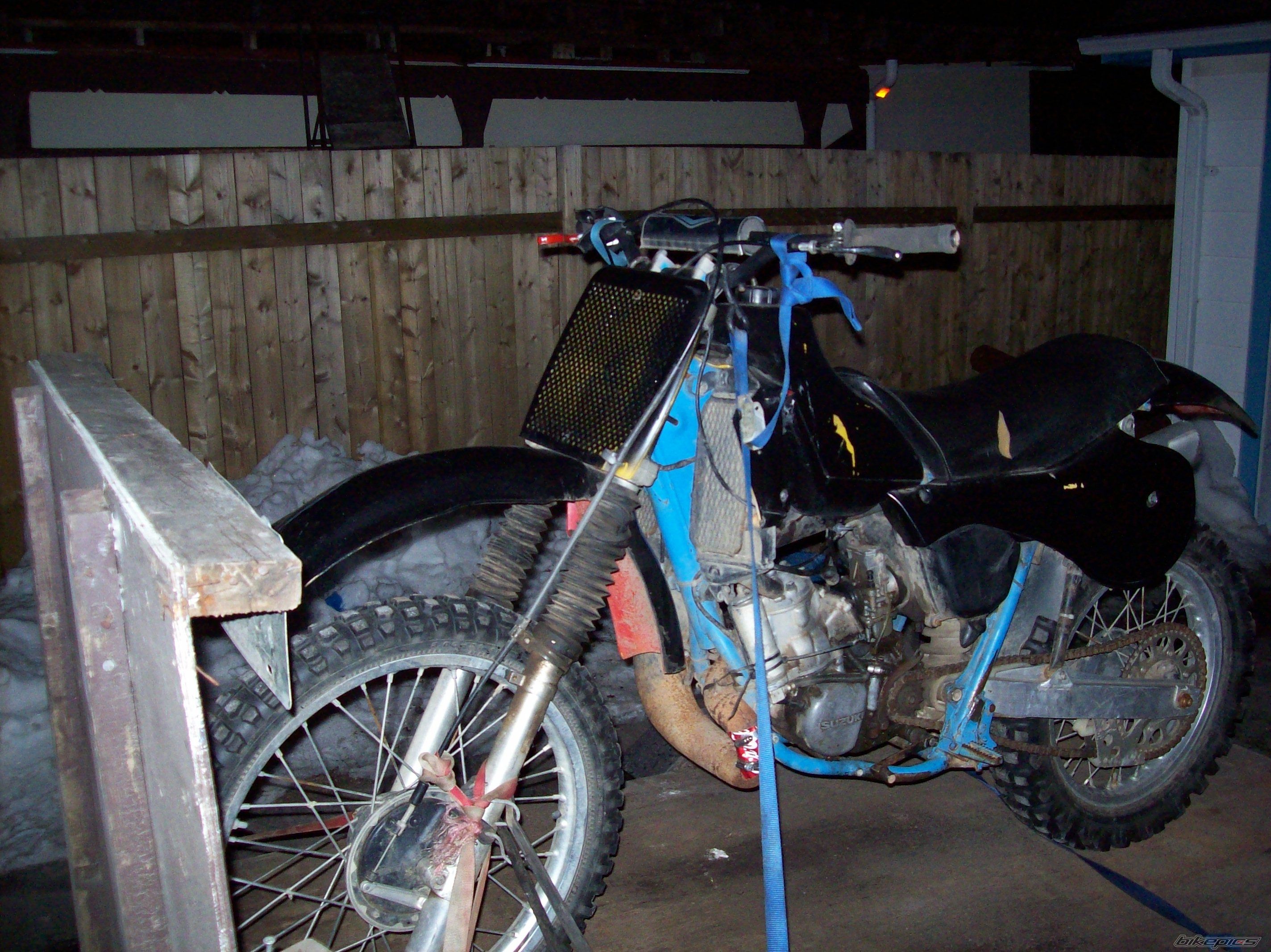 1982 SUZUKI RM 250 | Picture 1241929 motorcycle photo