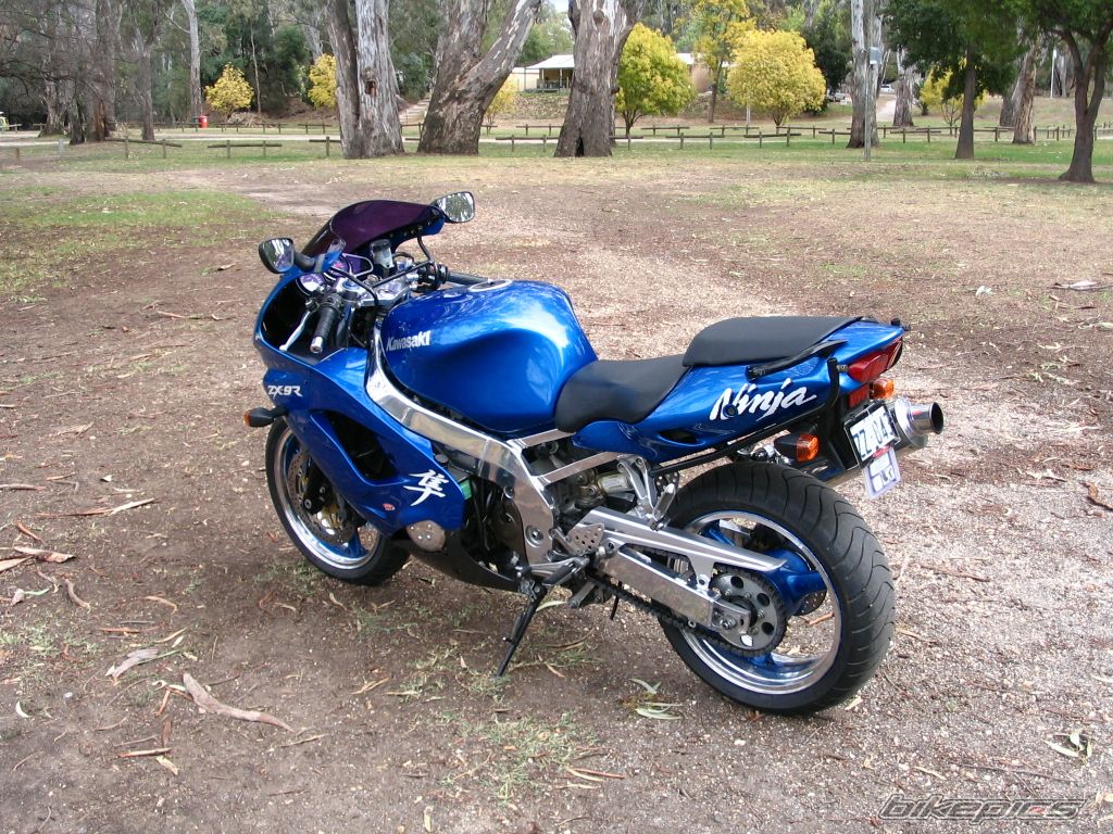 2004 HONDA CBR 1000  RR | Picture 1241945 motorcycle photo