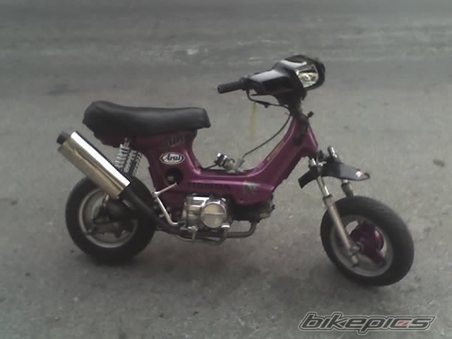 2008 HONDA GLX 50 | Picture 1242369 motorcycle photo