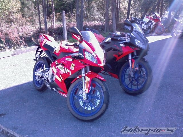 2008 APRILIA RS 50 | Picture 1242687 motorcycle photo