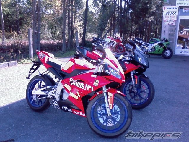 2008 APRILIA RS 50 | Picture 1242689 motorcycle photo