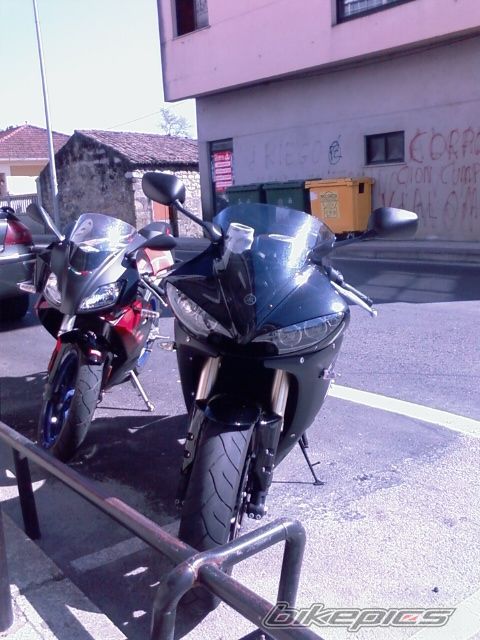 2008 APRILIA RS 50 | Picture 1242699 motorcycle photo