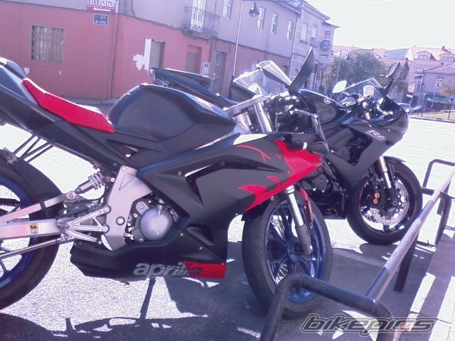 2008 APRILIA RS 50 | Picture 1242701 motorcycle photo