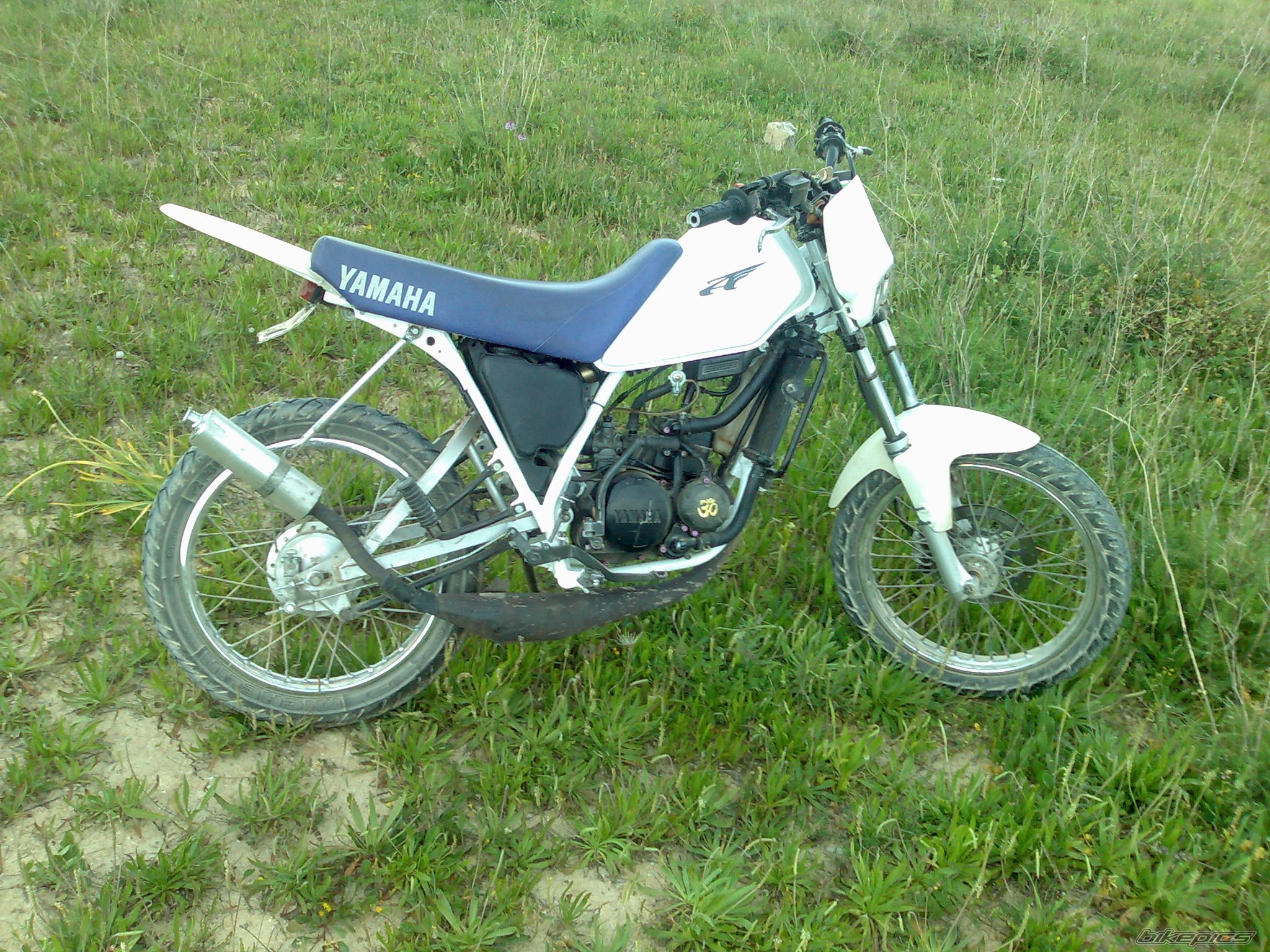 2008 YAMAHA DT 50 | Picture 1243554 motorcycle photo
