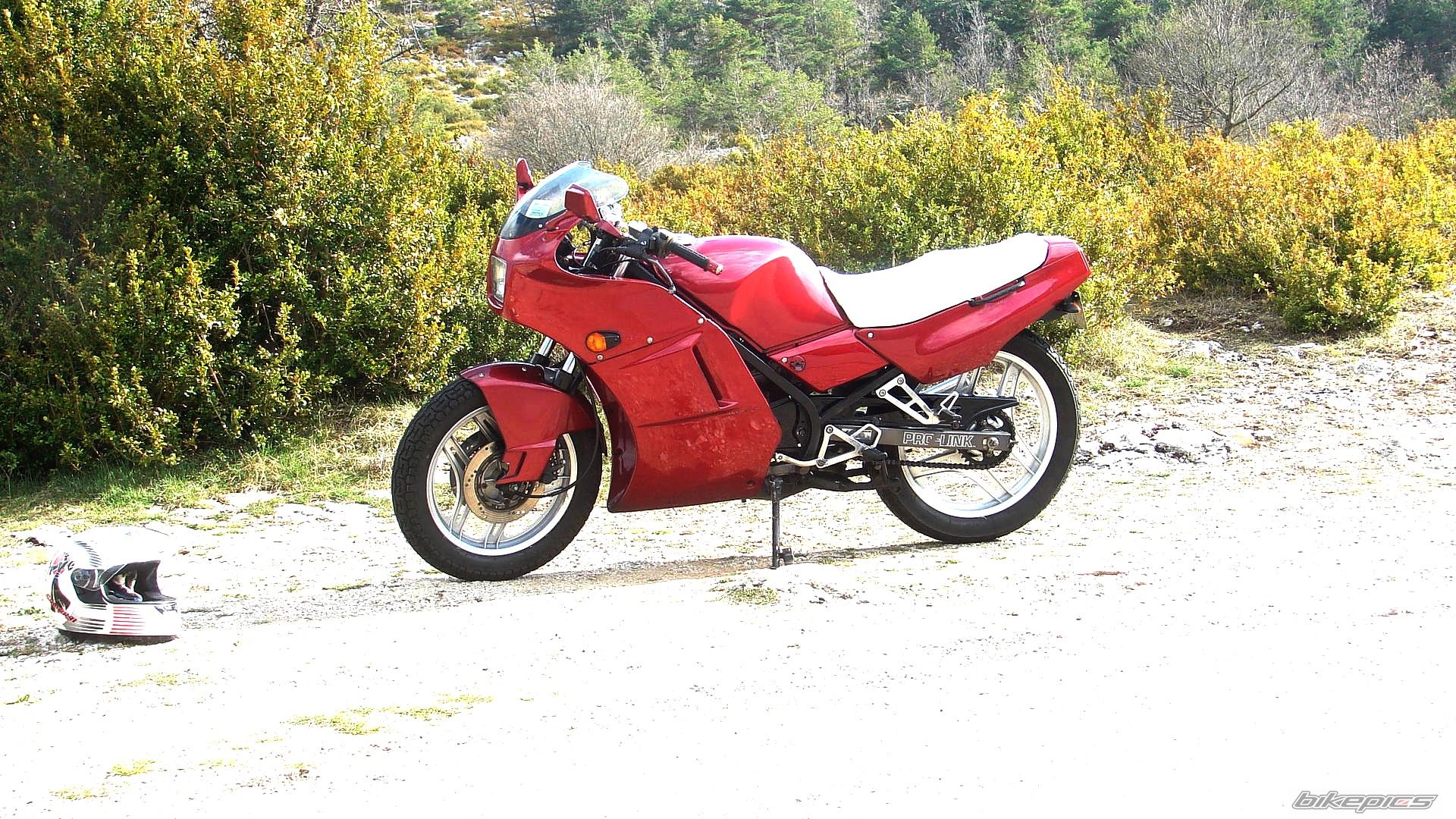    | Picture 1243571 motorcycle photo