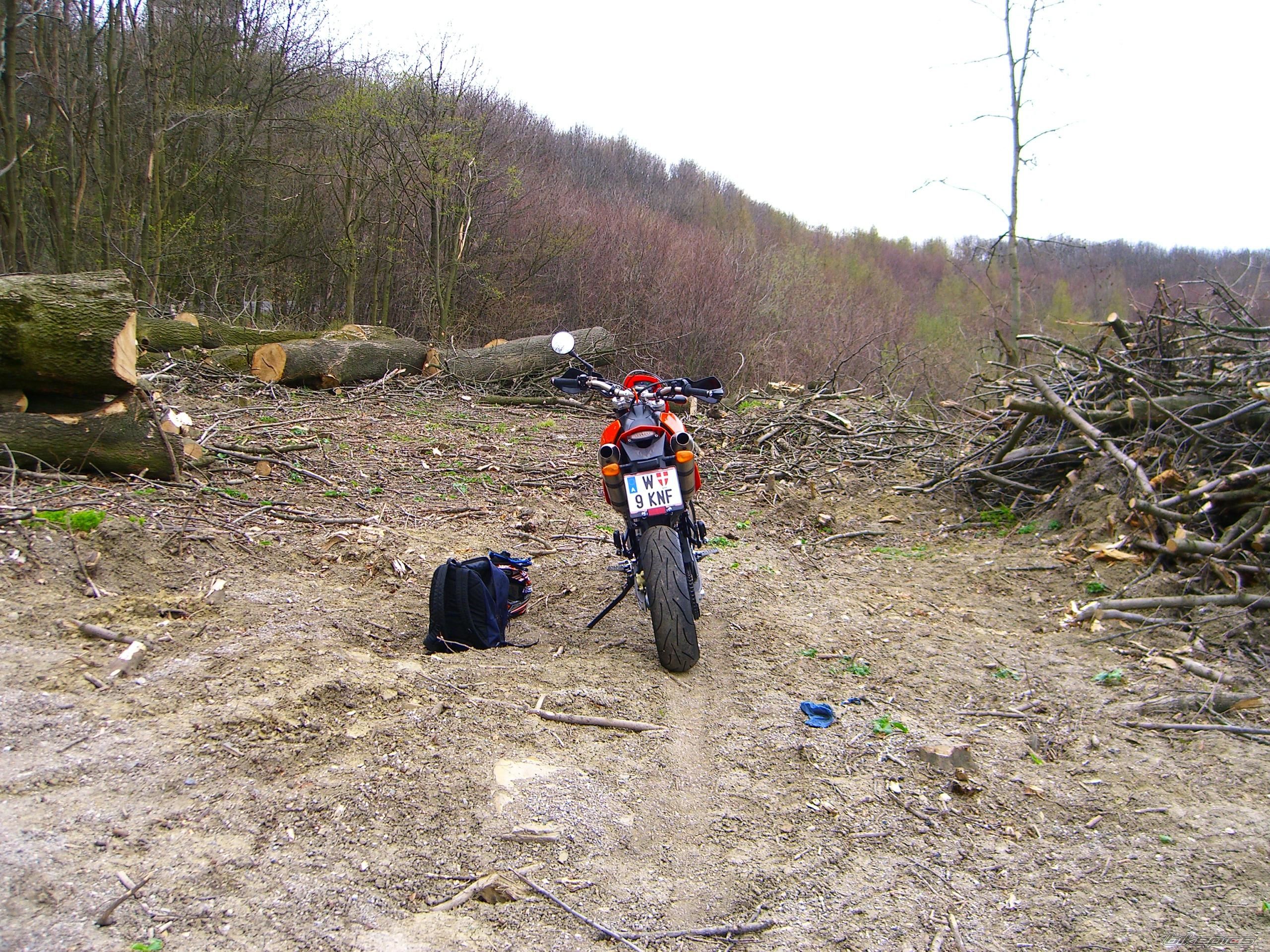 2006 KTM 660 SMC | Picture 1243692 motorcycle photo