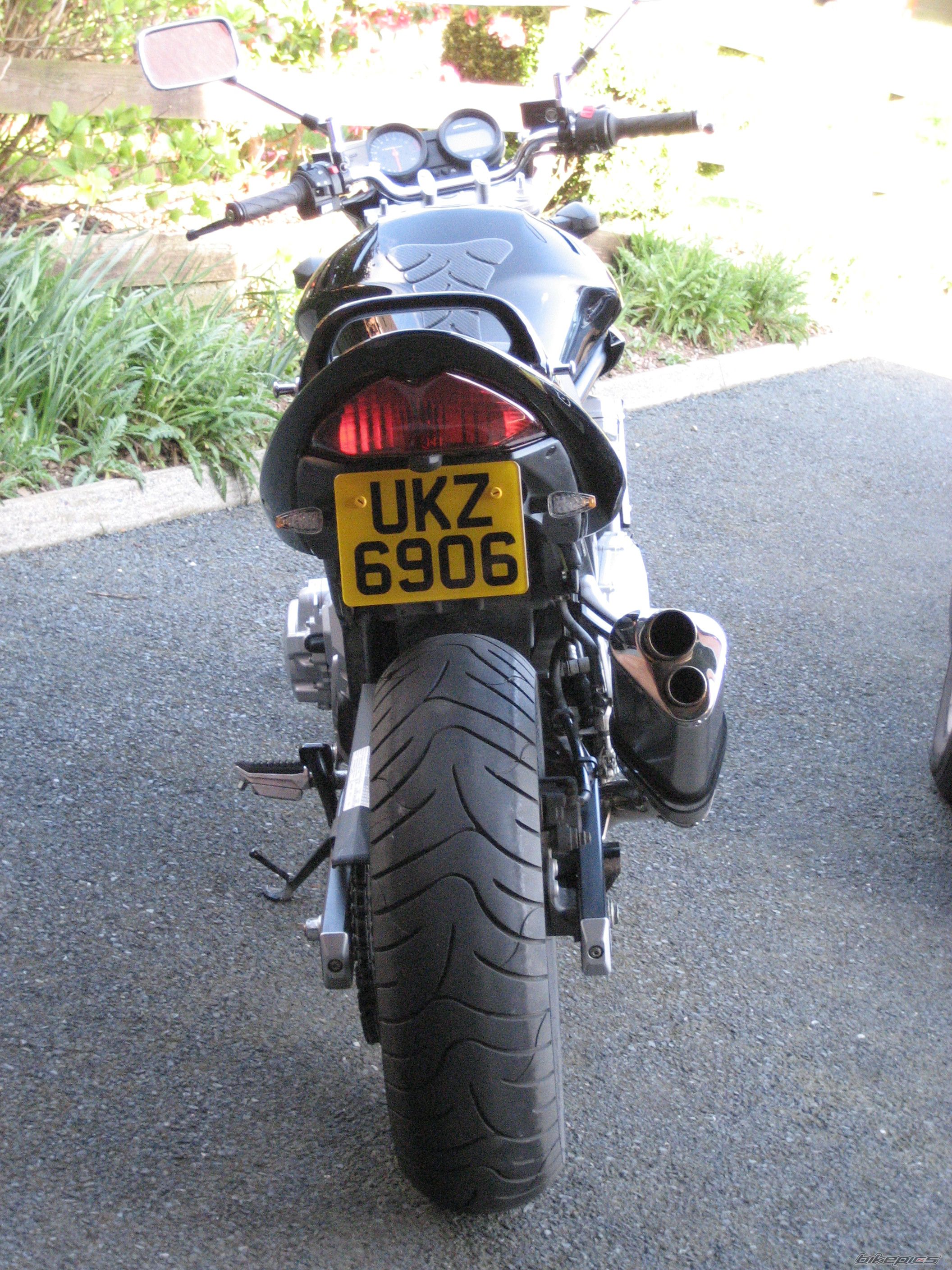 2007 SUZUKI BANDIT 650 | Picture 1243839 motorcycle photo