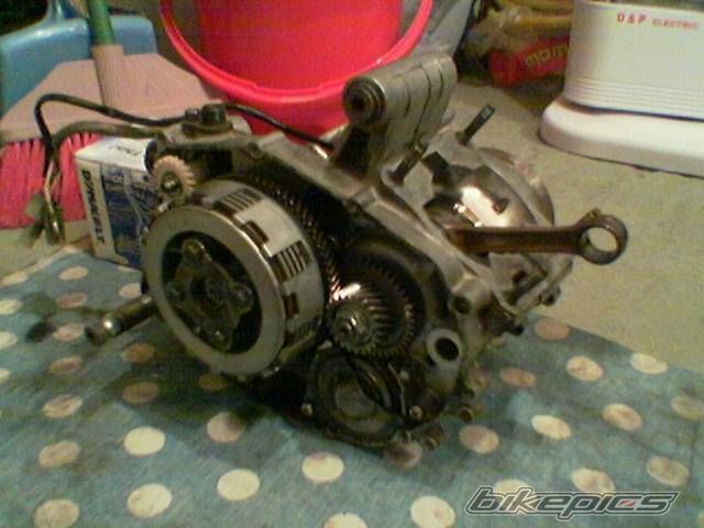 2008 YAMAHA 125 Z | Picture 1244012 motorcycle photo