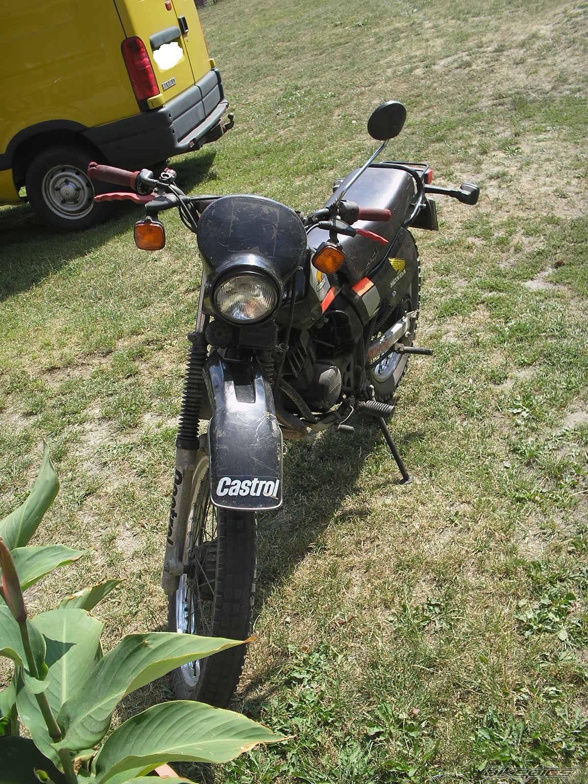 1982 HONDA MTX 80 | Picture 1244184 motorcycle photo