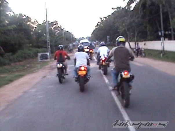 2008 SUZUKI DR 250 | Picture 1244961 motorcycle photo