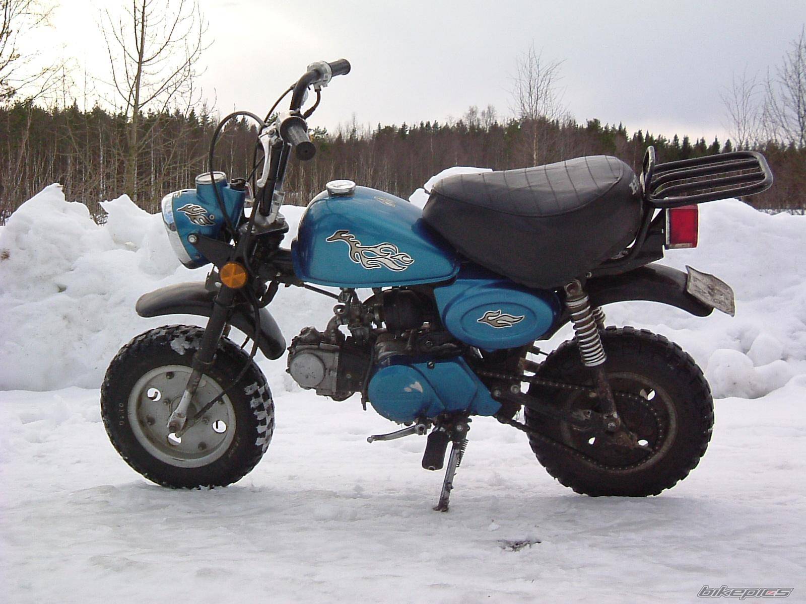 1998 HONDA Z 50 | Picture 124512 motorcycle photo