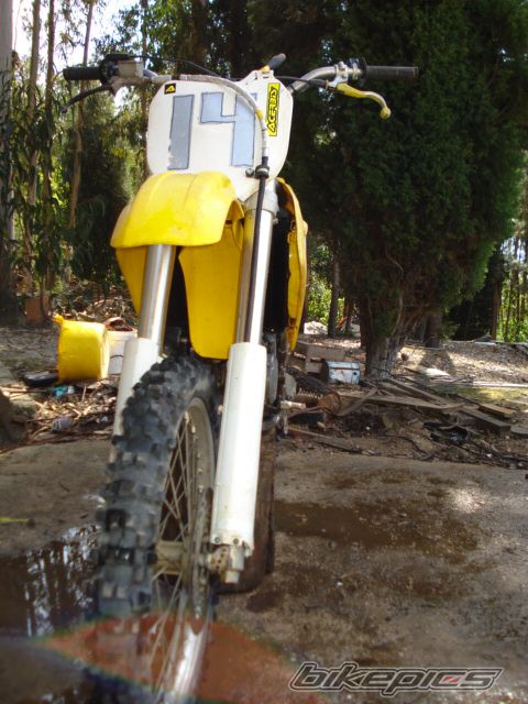 1995 SUZUKI RM 125 | Picture 1245400 motorcycle photo