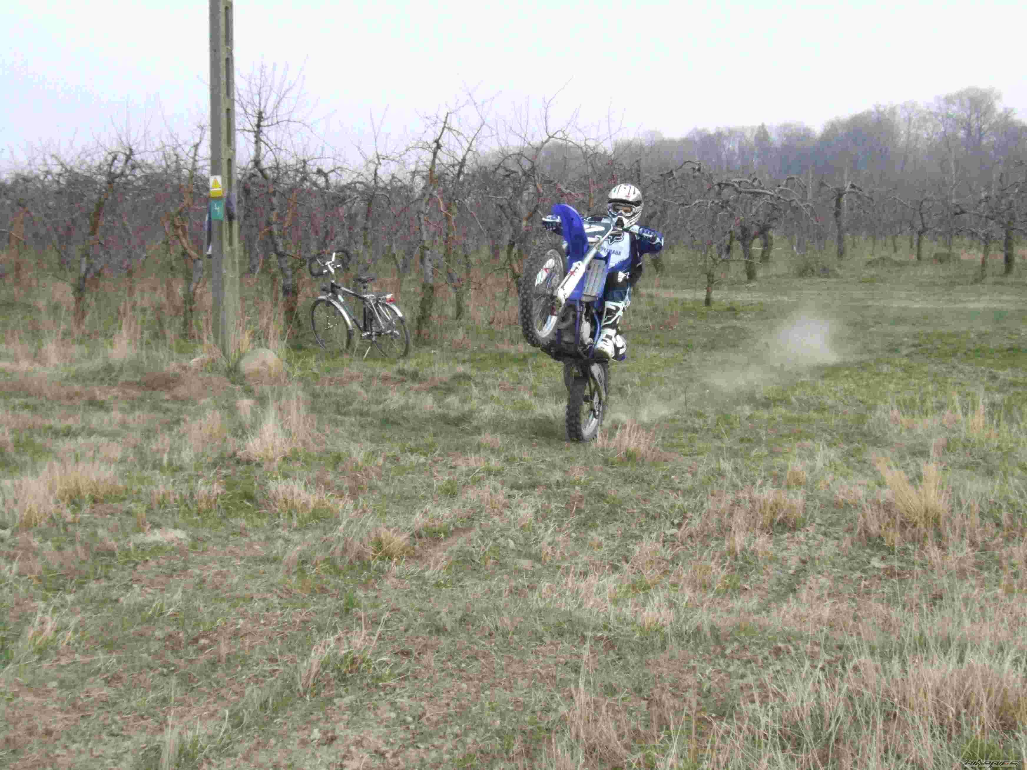 2004 YAMAHA YZ 125K | Picture 1245892 motorcycle photo