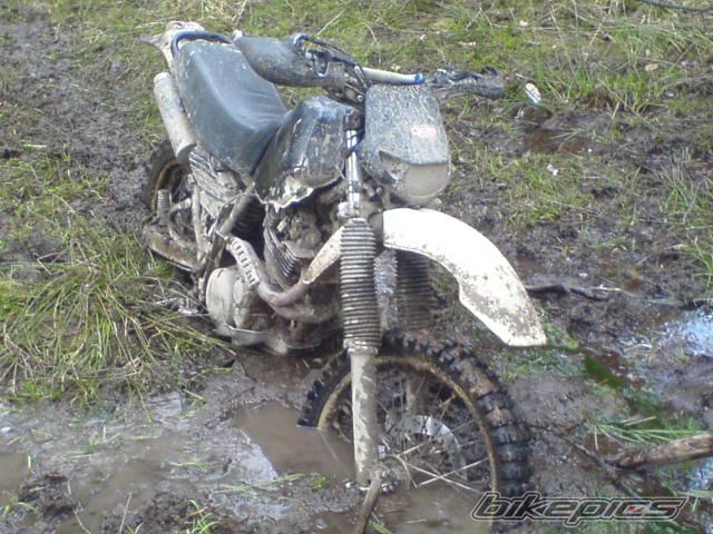 1984 YAMAHA XT 600 | Picture 1246039 motorcycle photo