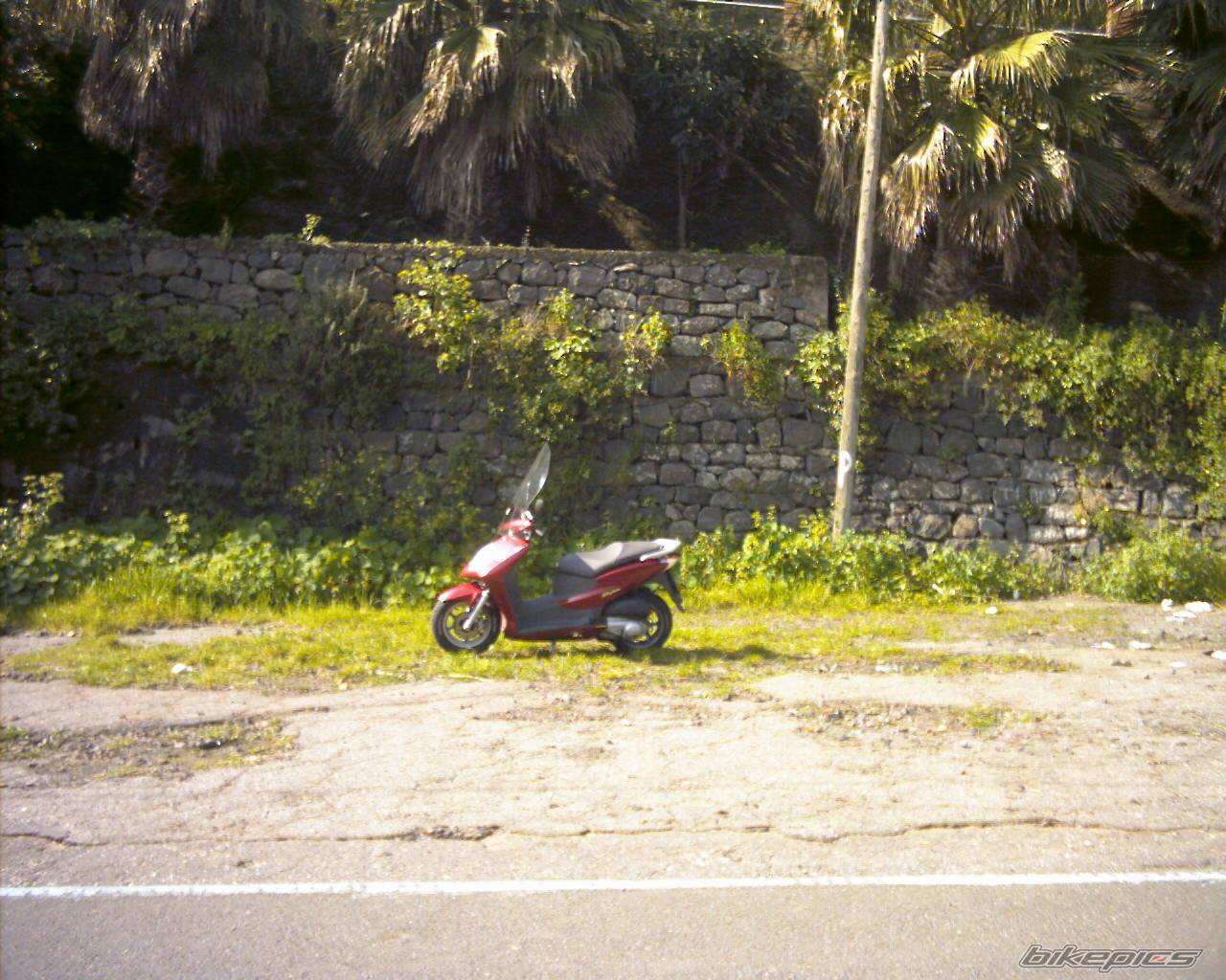2003 HONDA DYLAN 125 | Picture 124620 motorcycle photo