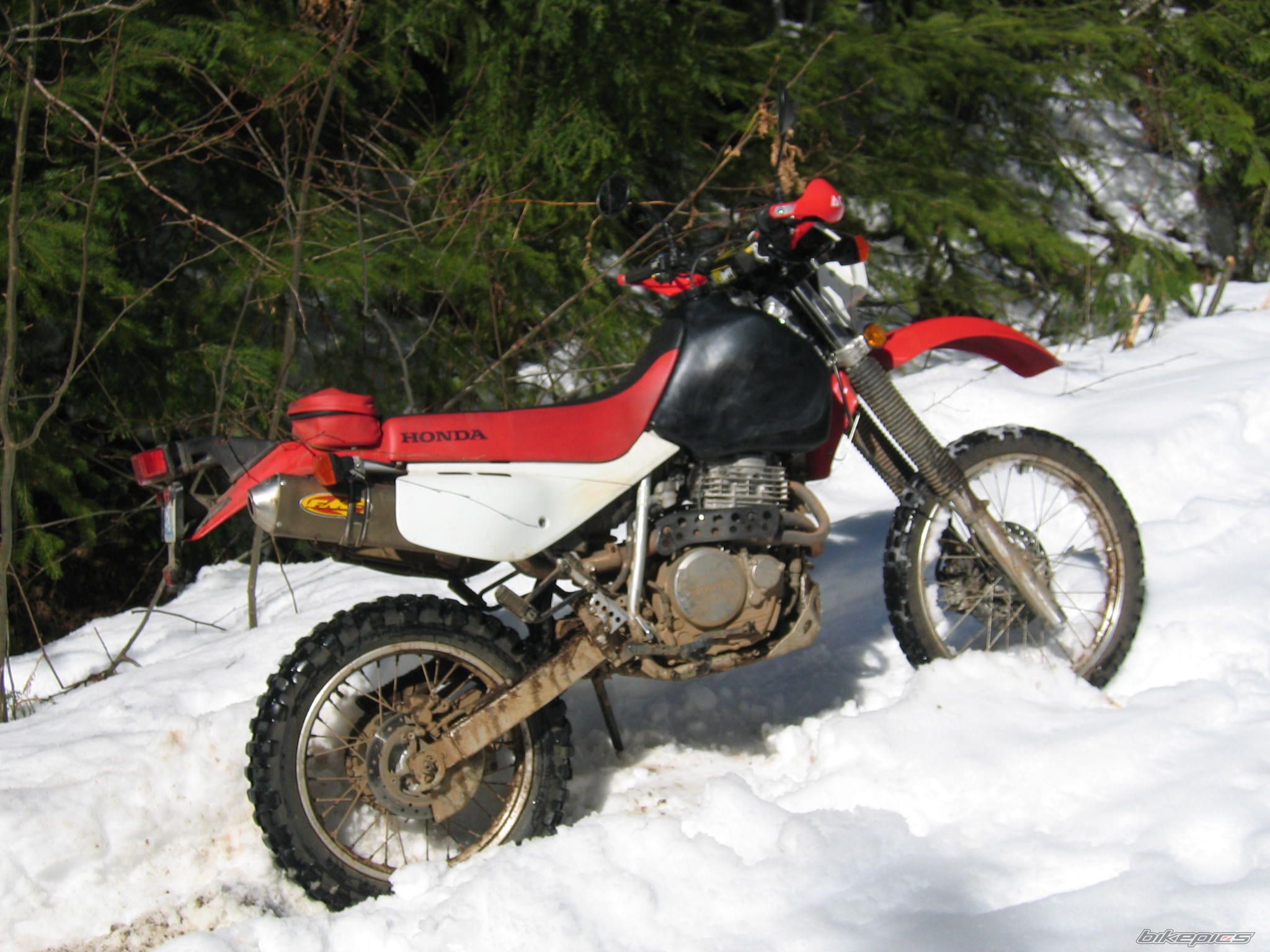 2008 HONDA XR 650 | Picture 1246228 motorcycle photo