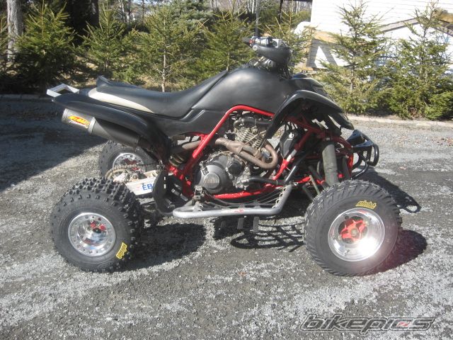 2001 YAMAHA RAPTOR YFM 660 | Picture 1246435 motorcycle photo