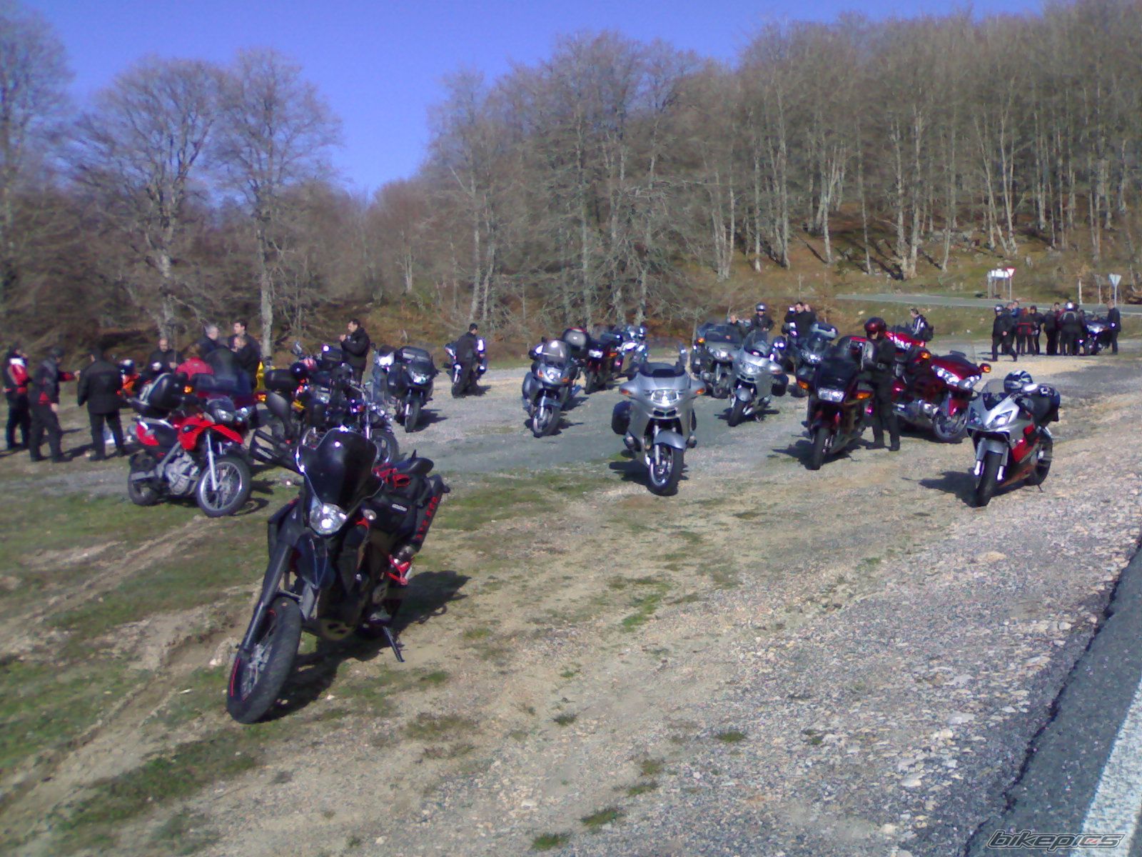 2003 HONDA CBR 600 | Picture 1246828 motorcycle photo