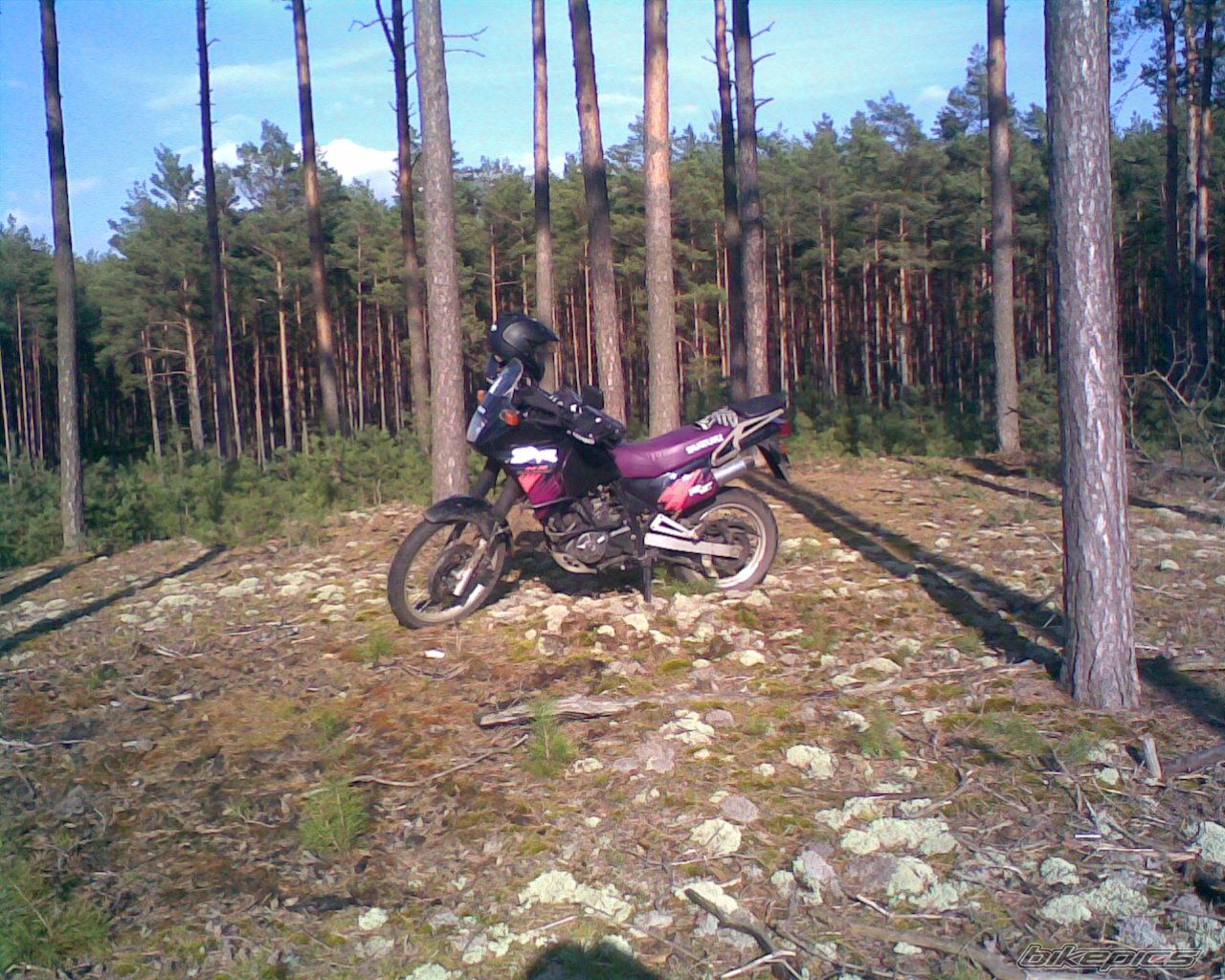 1993 SUZUKI DR 650 | Picture 1247014 motorcycle photo