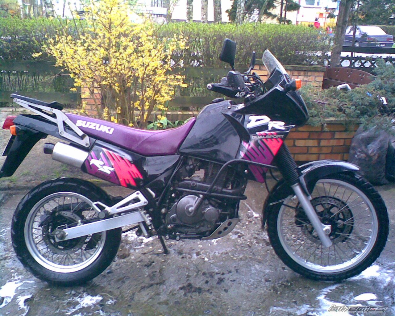 1993 SUZUKI DR 650 | Picture 1247027 motorcycle photo