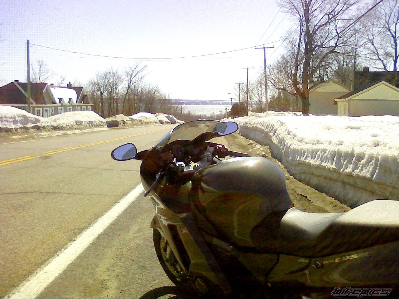 1998 HONDA CBR 1100 BLACKBIRD | Picture 1248022 motorcycle photo