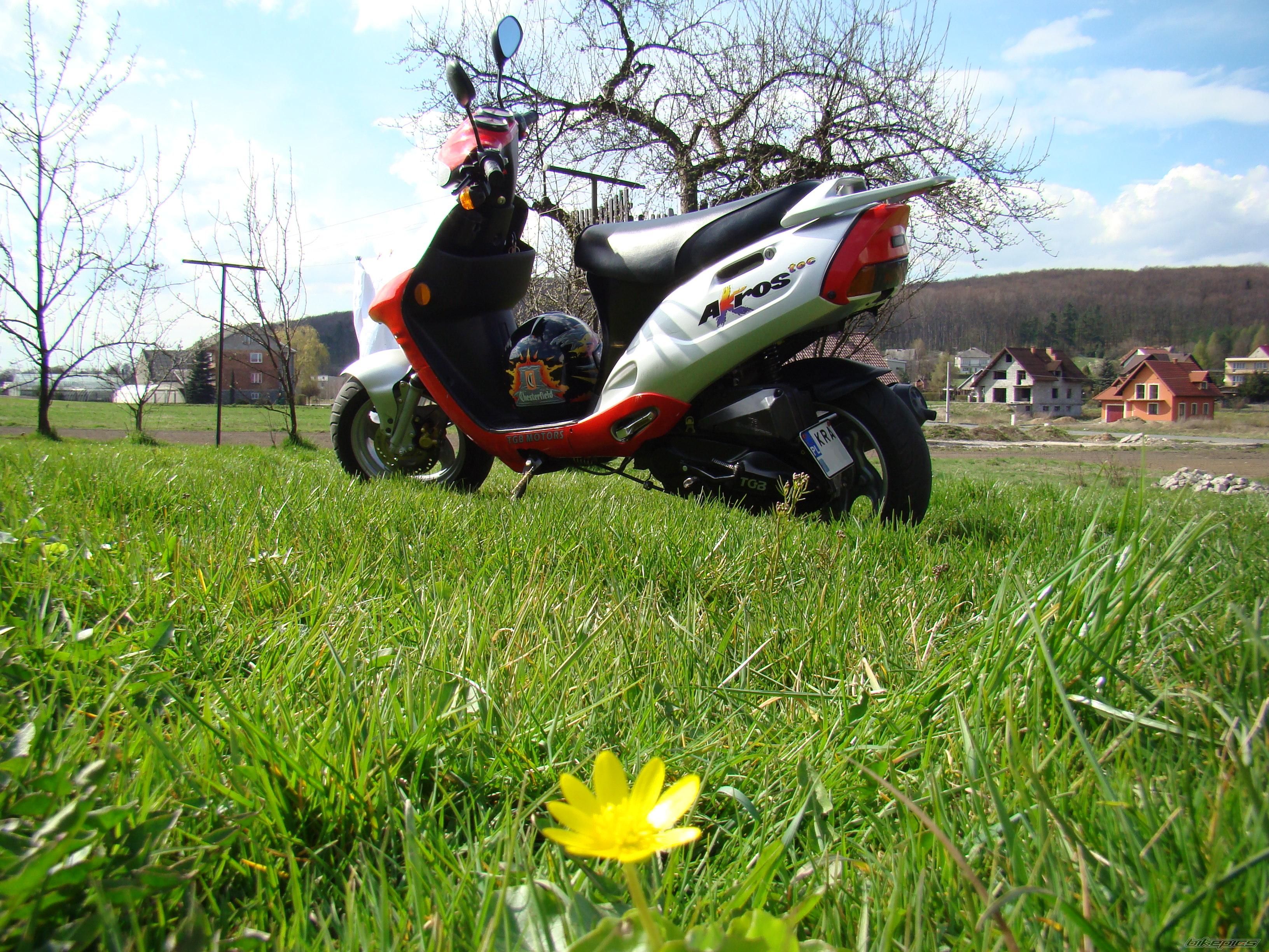 2006 TGB AKROS TEC 50 | Picture 1248121 motorcycle photo