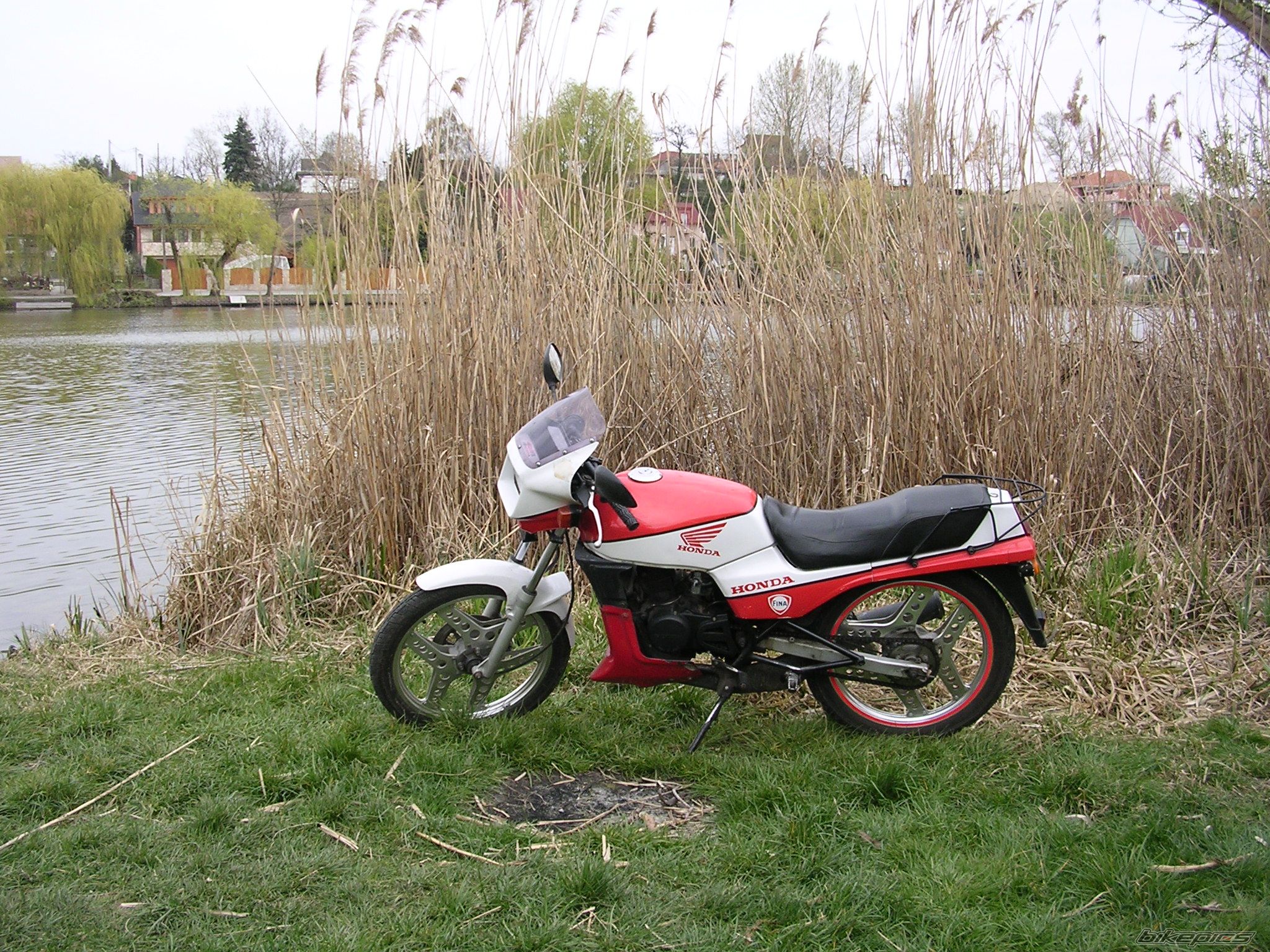1989 HONDA MBX 80 | Picture 1248202 motorcycle photo