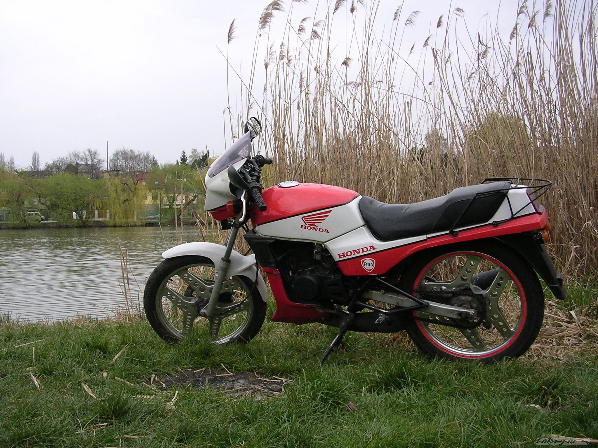 1989 HONDA MBX 80 | Picture 1248206 motorcycle photo