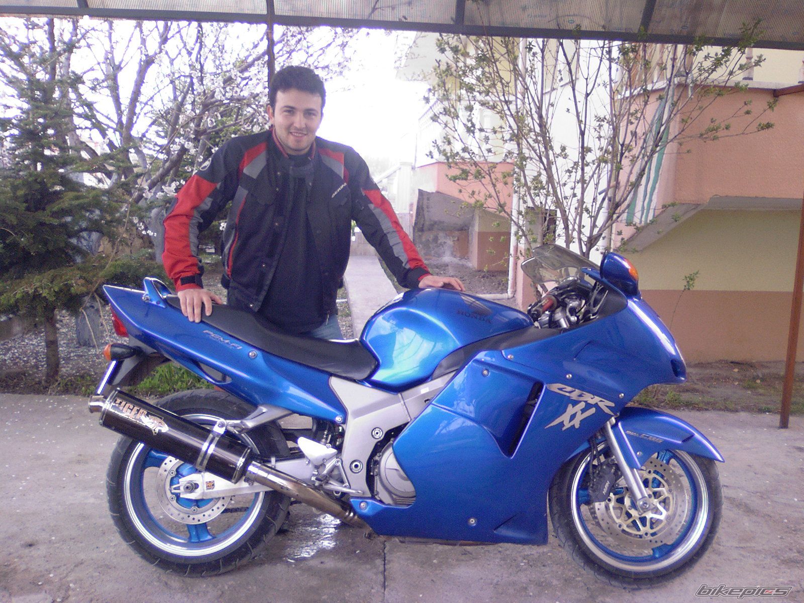2005 HONDA CBR 1100 BLACKBIRD | Picture 1248461 motorcycle photo