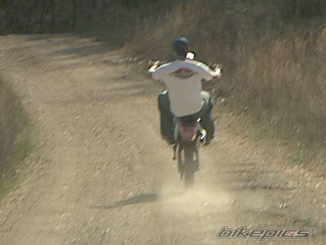 2003 HONDA CRF 150 | Picture 124869 motorcycle photo