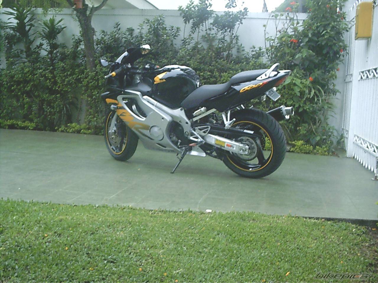 1999 HONDA CBR 600 | Picture 124932 motorcycle photo