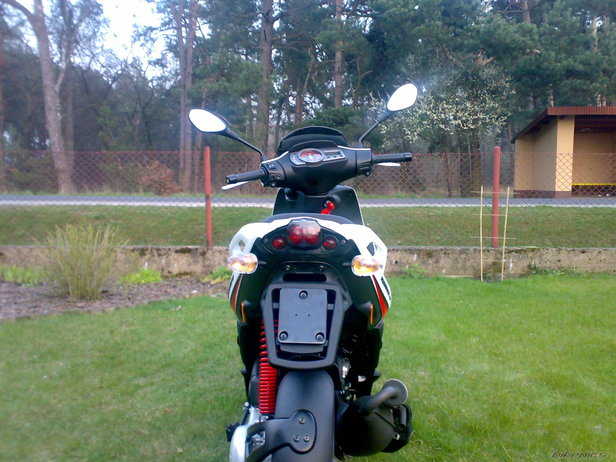 2008 GILERA RUNNER 50 | Picture 1249335 motorcycle photo