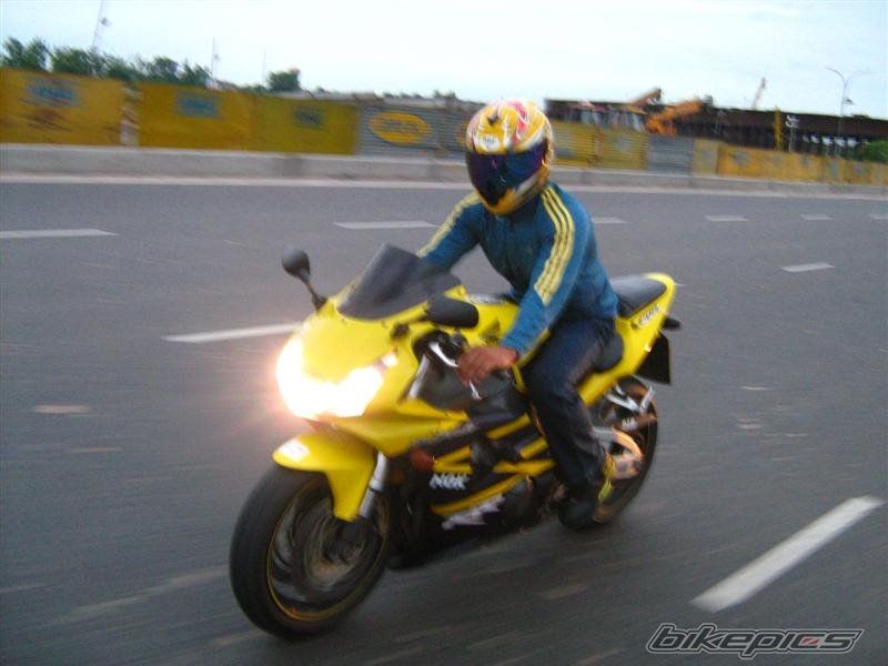 2003 HONDA CBR 900 | Picture 1249434 motorcycle photo