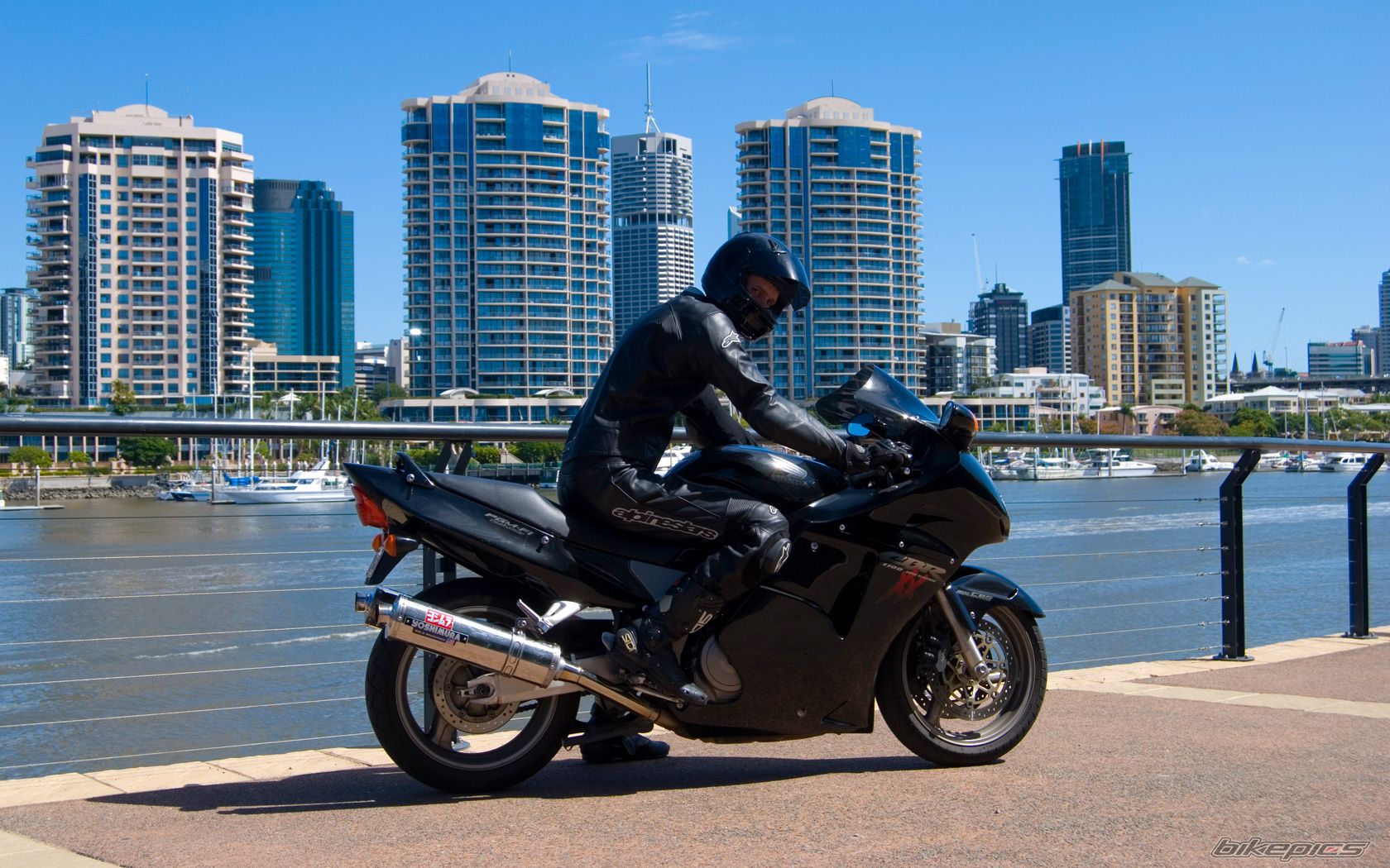 2000 HONDA CBR 1100 BLACKBIRD | Picture 1249580 motorcycle photo