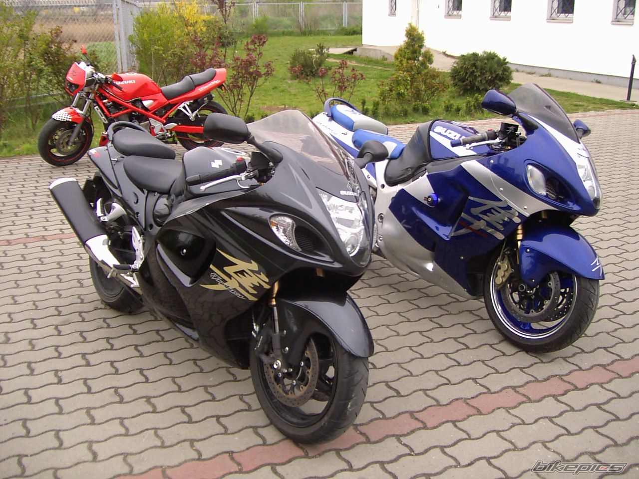 2008 SUZUKI HAYABUSA | Picture 1249724 motorcycle photo