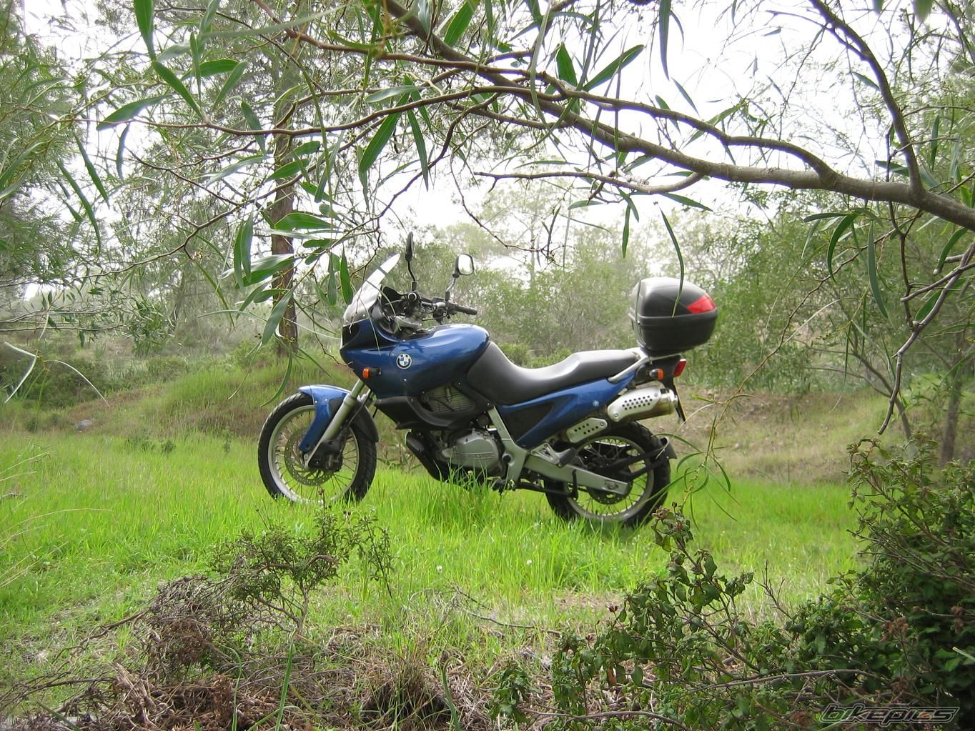 1998 BMW F 650 GS | Picture 1251335 motorcycle photo