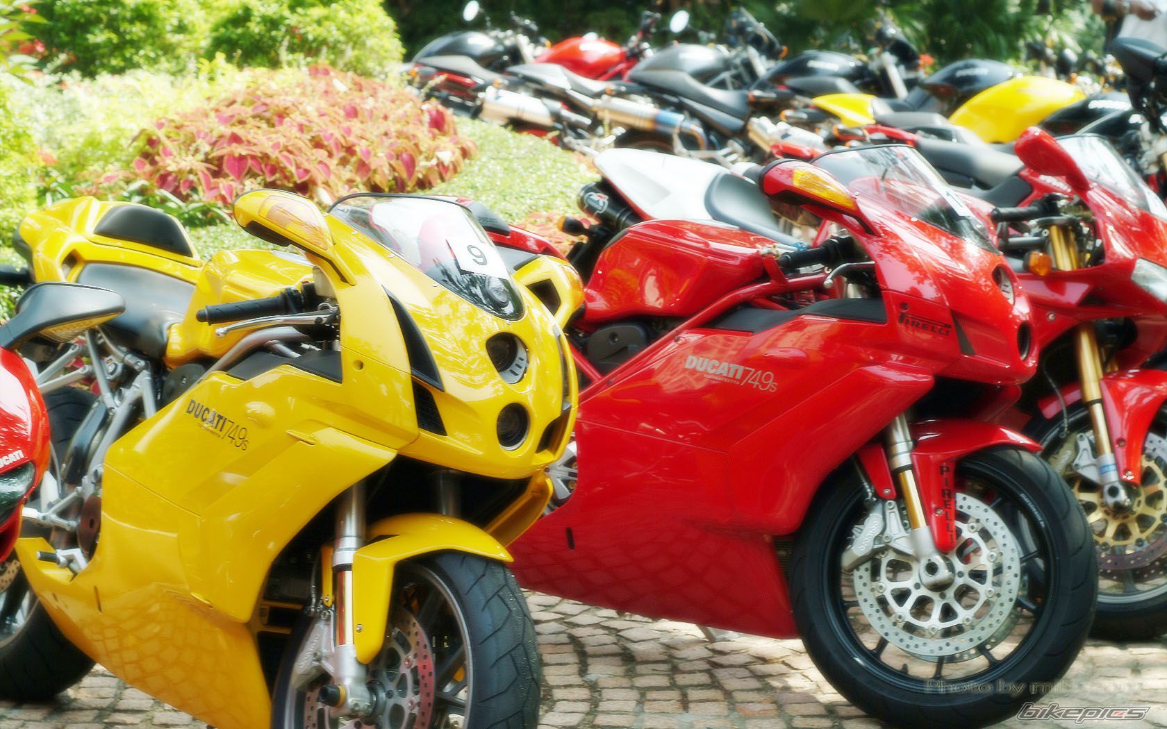 2004 DUCATI 749S | Picture 1251358 motorcycle photo