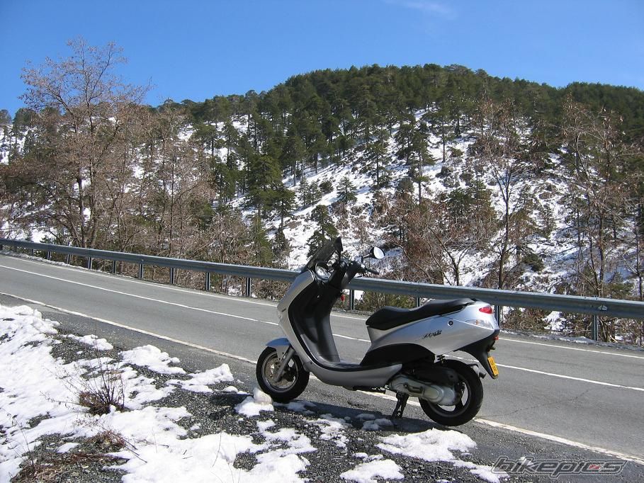 2005 PEUGEOT ELYSEO 100 | Picture 1251383 motorcycle photo