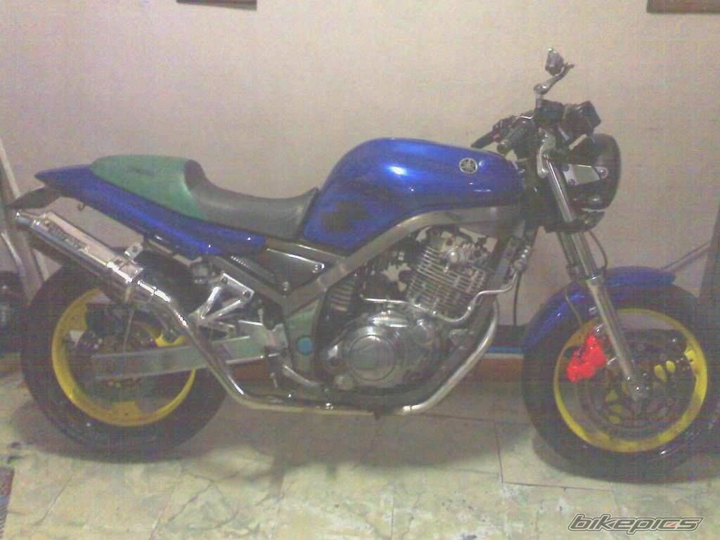    | Picture 1251496 motorcycle photo