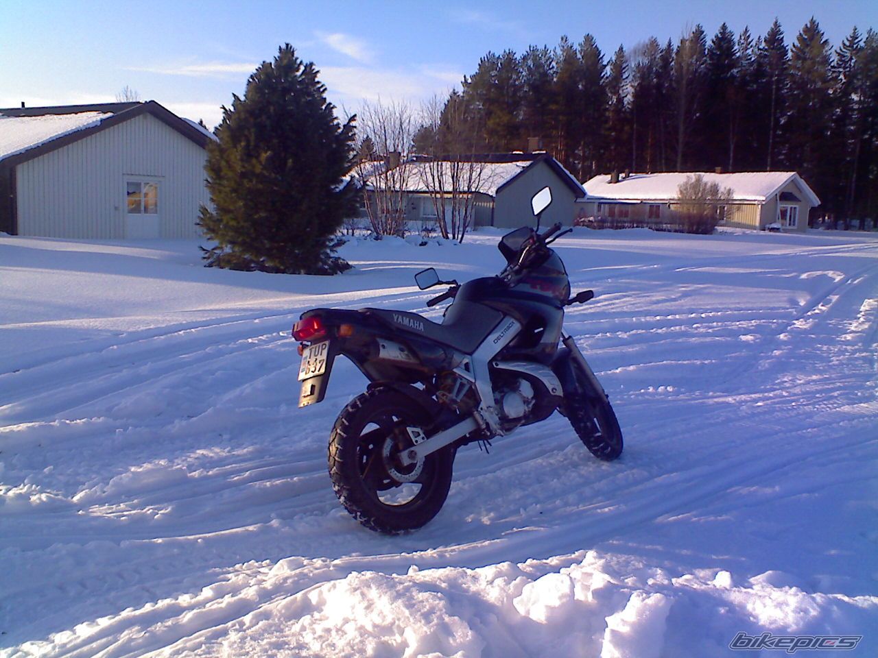 1999 YAMAHA TDR 125 | Picture 1251636 motorcycle photo