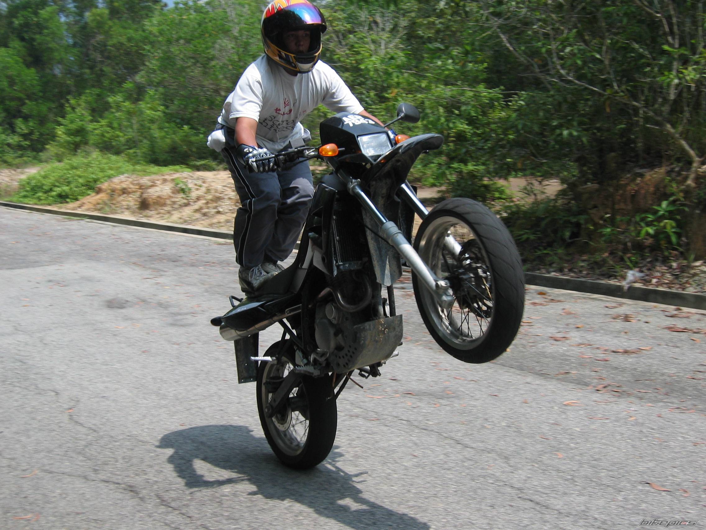 2003 MZ 125SM | Picture 125164 motorcycle photo