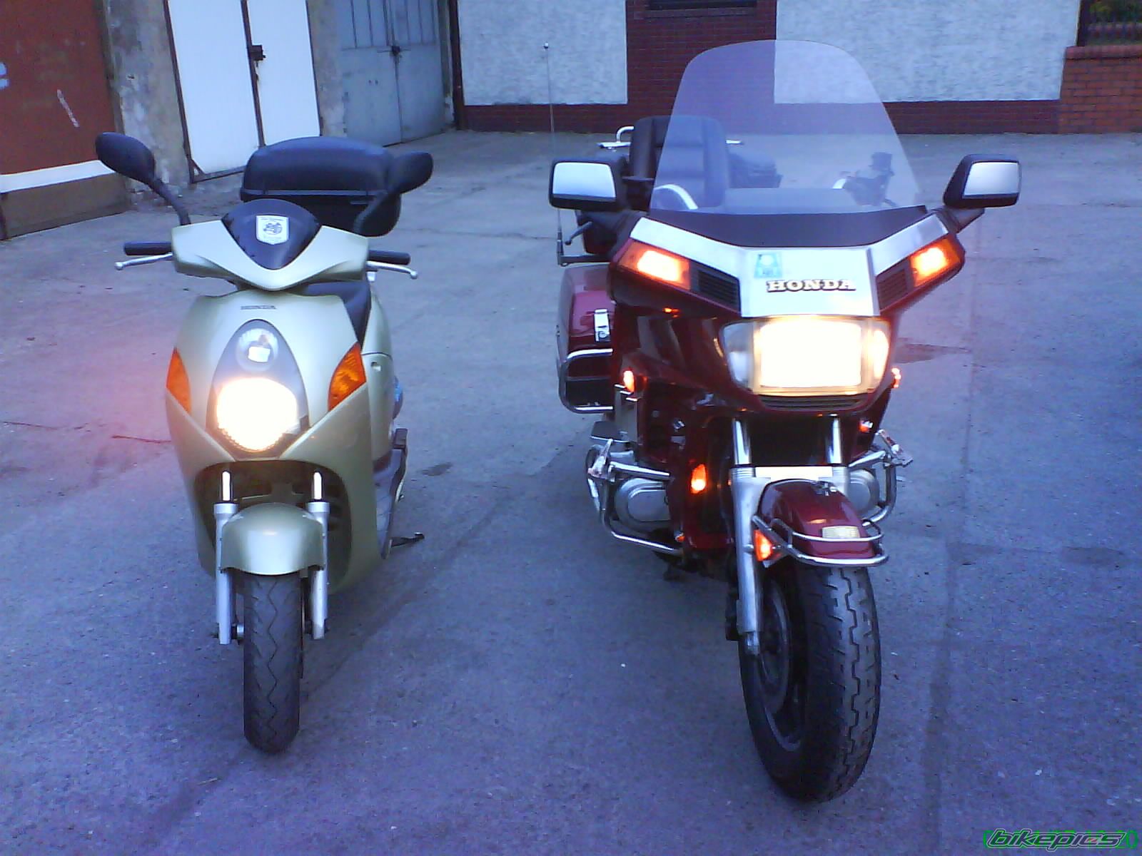 1989 HONDA GOLDWING | Picture 1251839 motorcycle photo