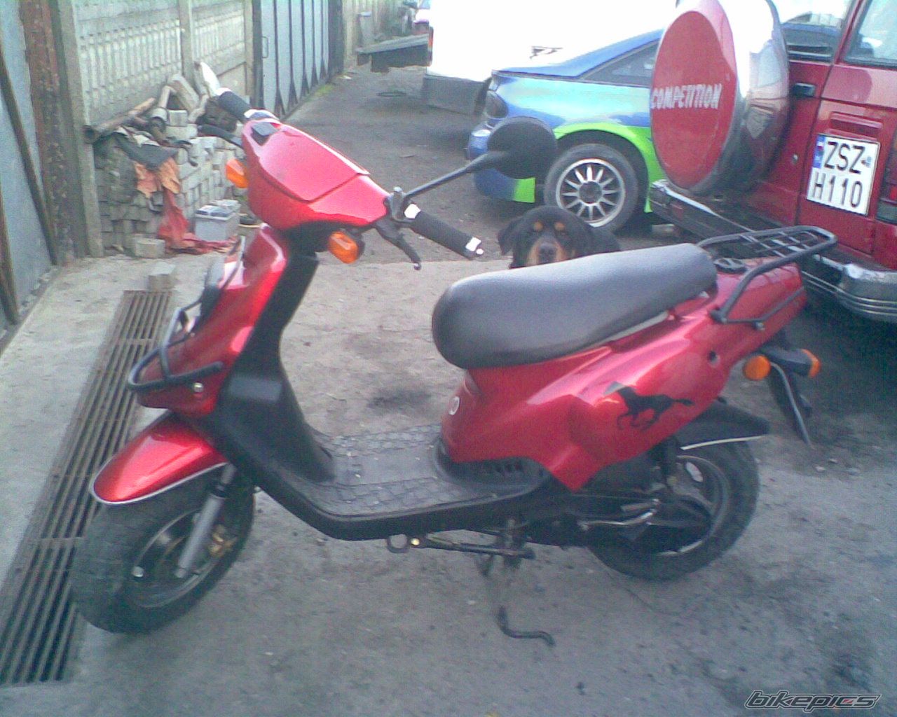 2005 TGB ORION 101 S | Picture 1252471 motorcycle photo
