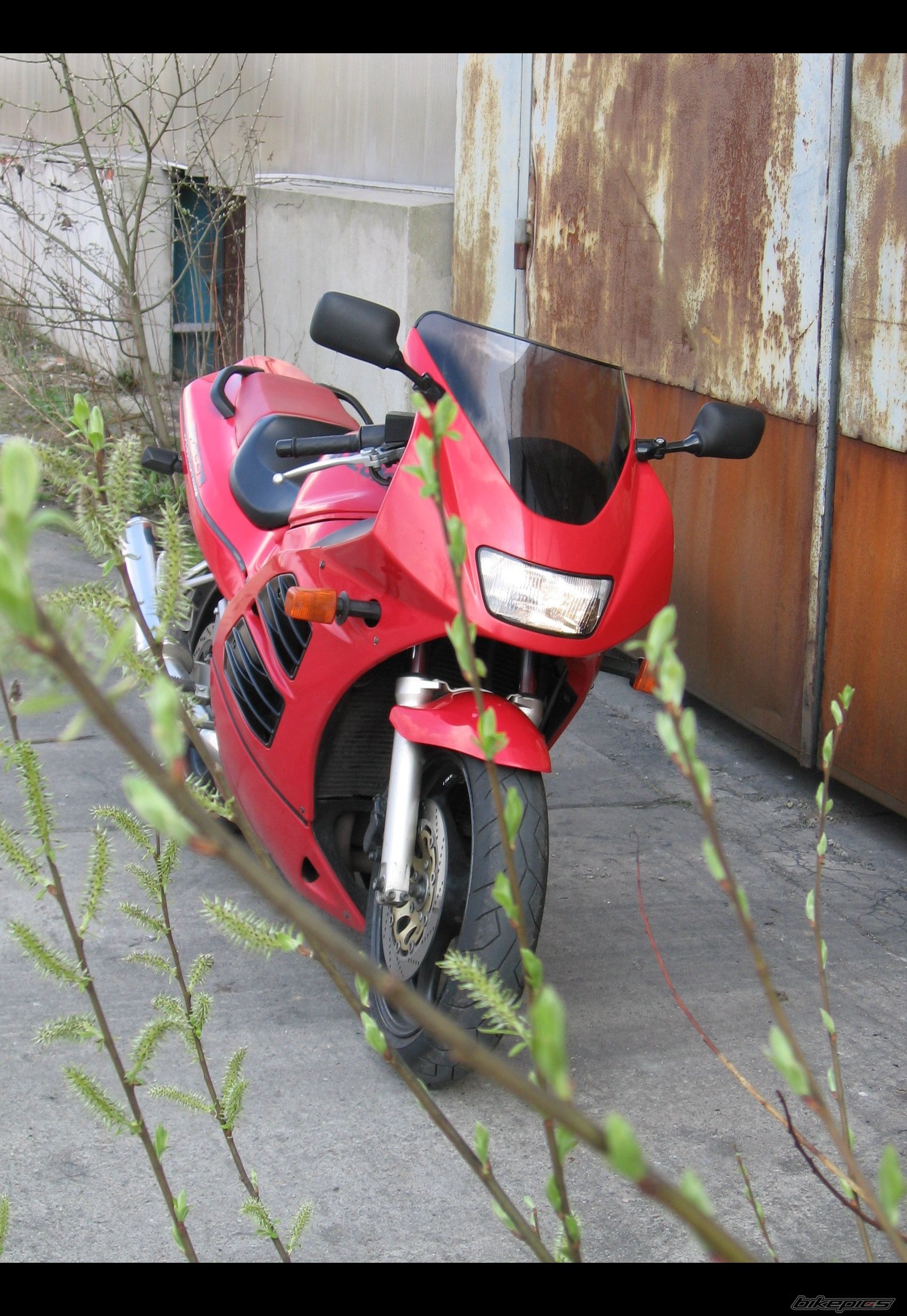 1993 SUZUKI RF 600 | Picture 1252493 motorcycle photo
