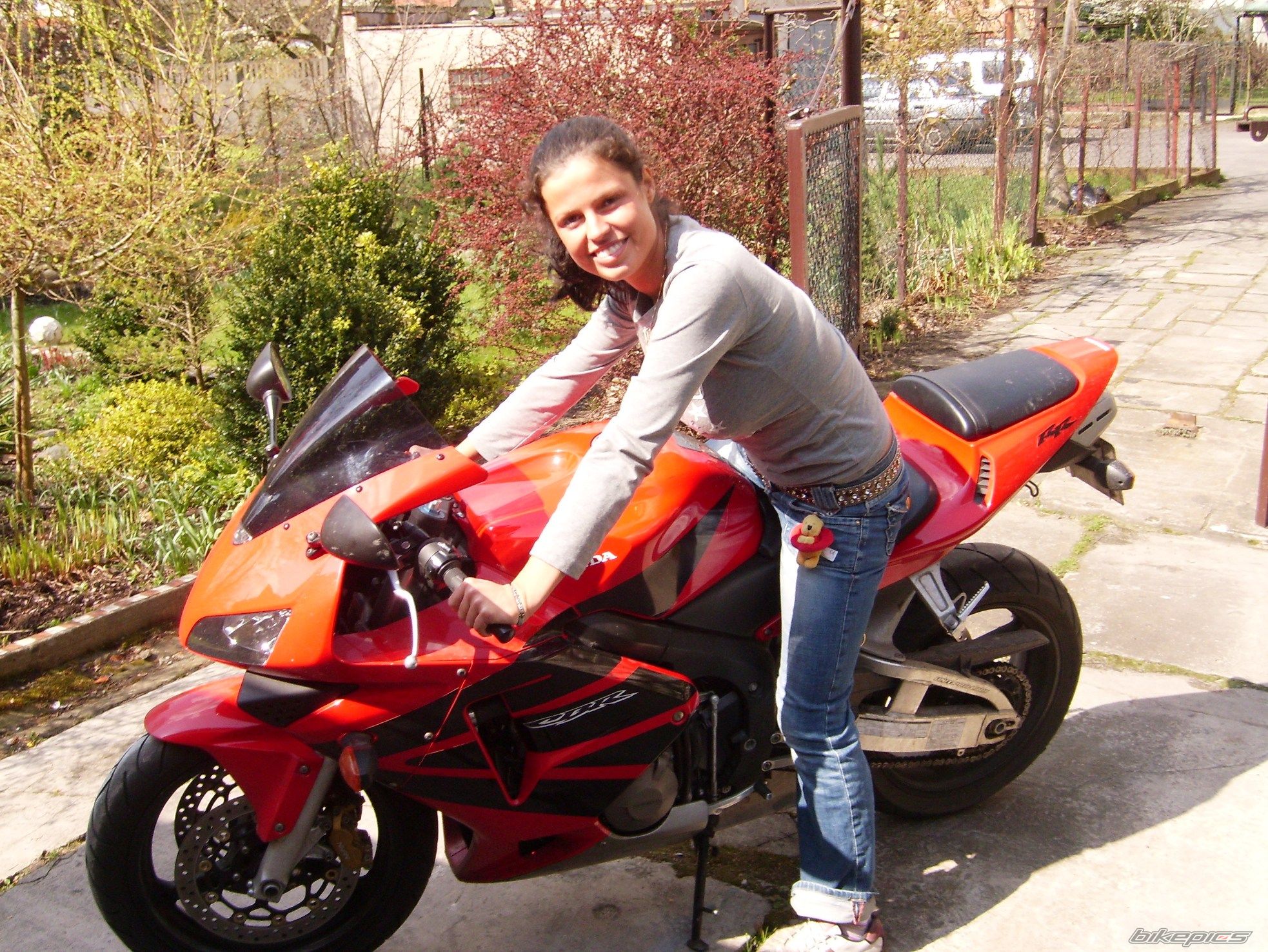 2003 HONDA CBR 600 RR | Picture 1252542 motorcycle photo