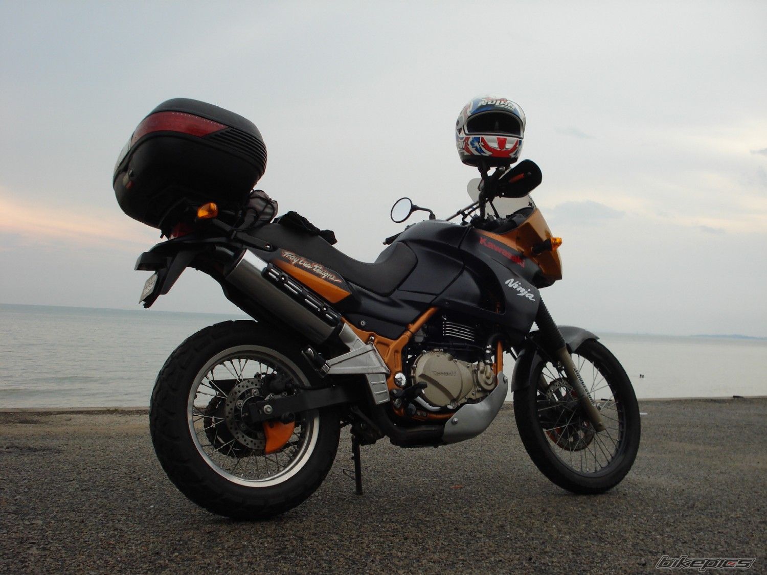 2005 KAWASAKI KLE 500 | Picture 1252851 motorcycle photo