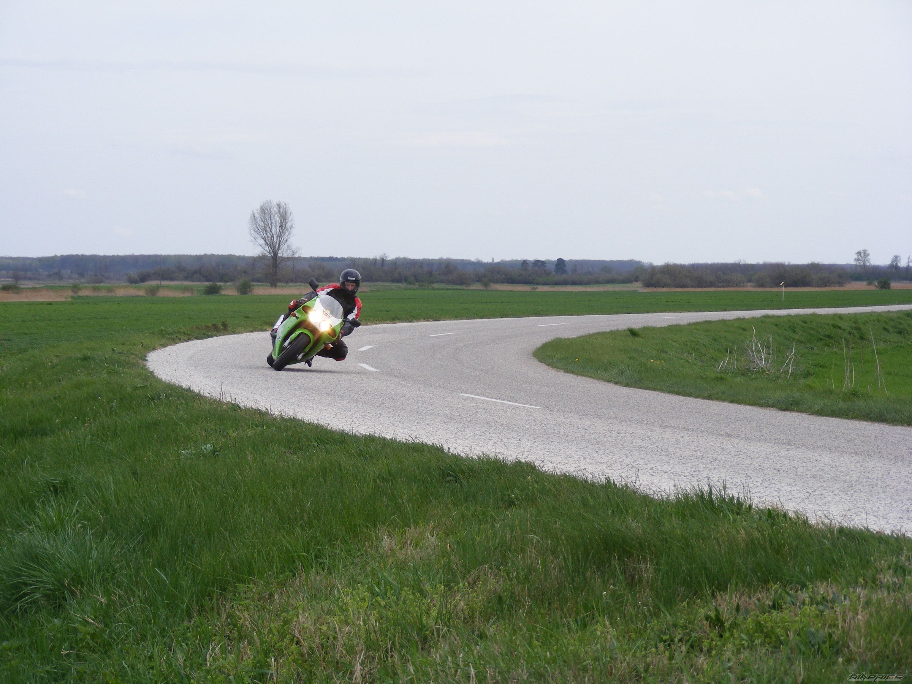 1998 KAWASAKI ZX 7R | Picture 1253033 motorcycle photo