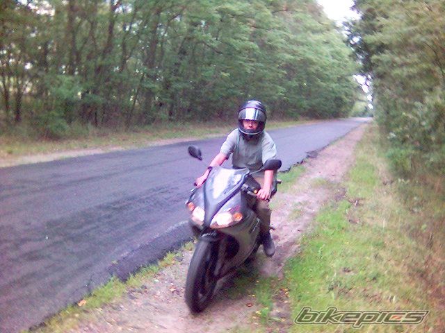 2005 YAMAHA TZR 50 | Picture 1253034 motorcycle photo