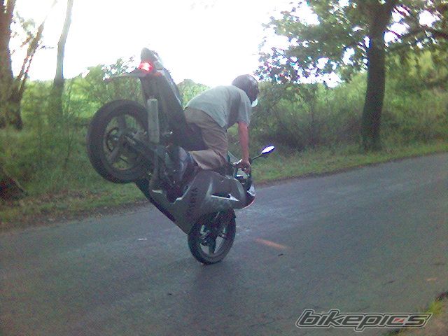 2005 YAMAHA TZR 50 | Picture 1253037 motorcycle photo