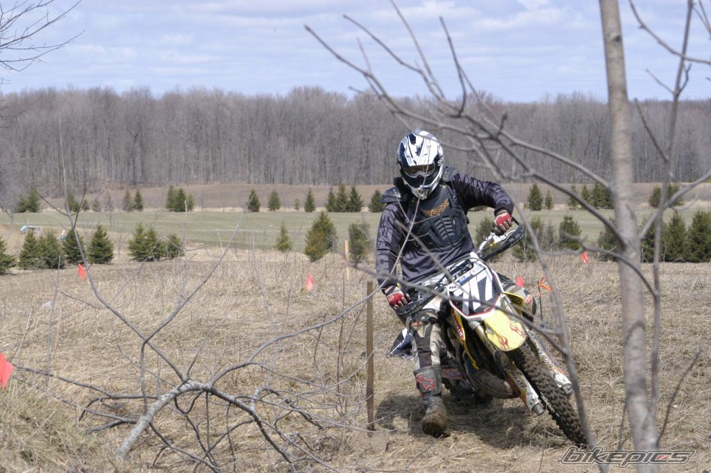 2004 SUZUKI RM 250 | Picture 1253313 motorcycle photo